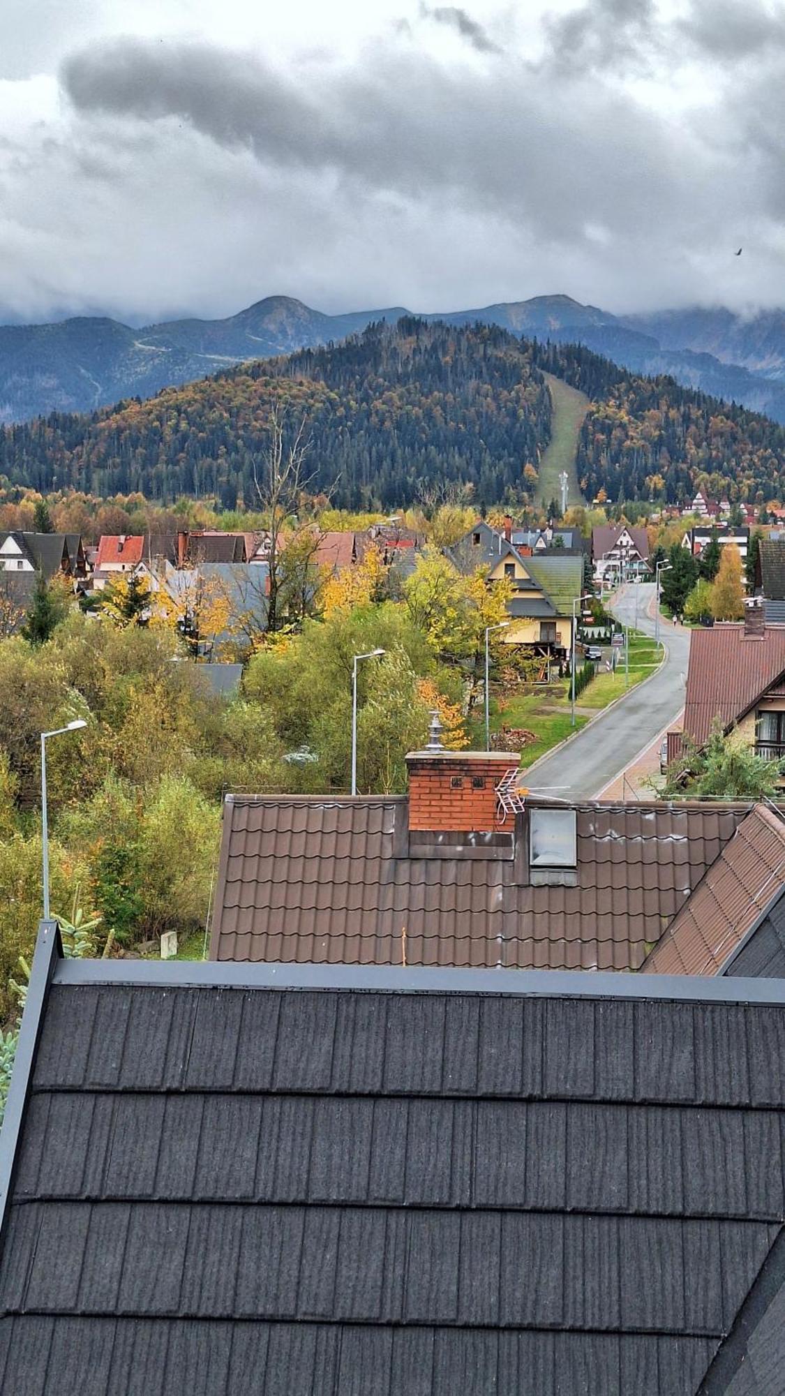Willa U Kosle Zakopane Exteriör bild